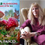 Spotlight on contemporary fiction author Eva Pasco